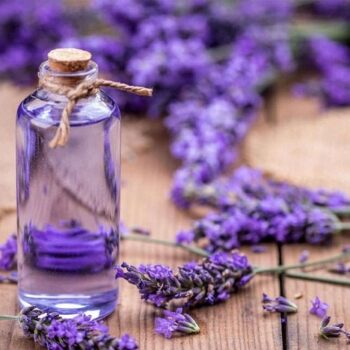 عرق اسطوخودوس بهمن