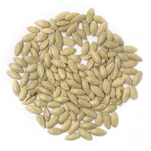 تخم خیار