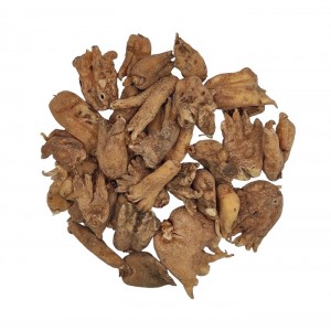 ثعلب پنجه ای  کد  178