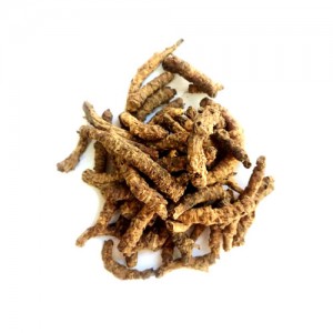 ریوند چینی