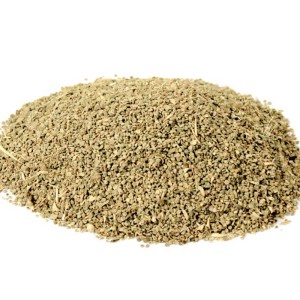 بذرالبنج