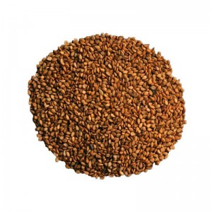 کنجدقهوه ای خام کد 69
