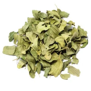 برگ سدر