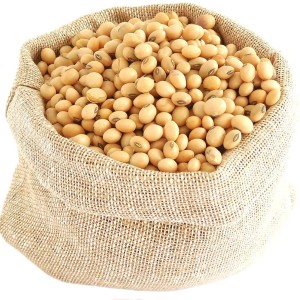 سویا کد 89