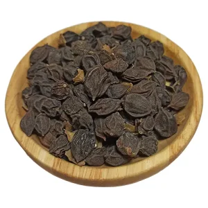 سپستان کد 99.96