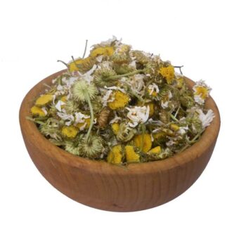 بابونه گل درشت خارجی