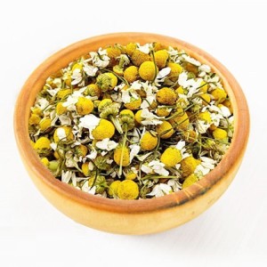 بابونه گل درشت کد 102