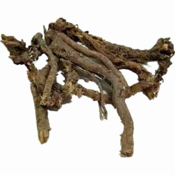 ریشه کاسنی