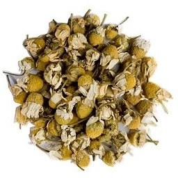 بابونه نرم آلمانی