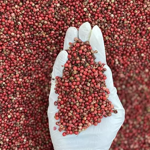 فلفل قرمز دان