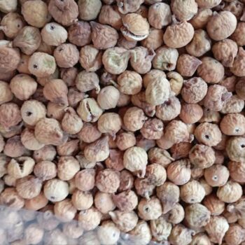 انجیر استهبان درجه دو