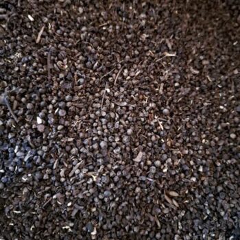 فلفل سیاه خشن