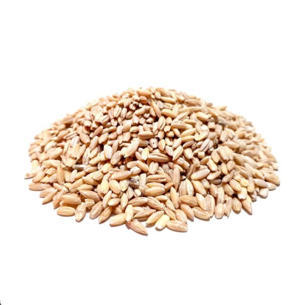 جو باپوست کد 74
