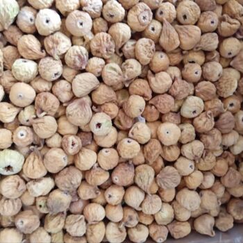 انجیر استهبان اعلا