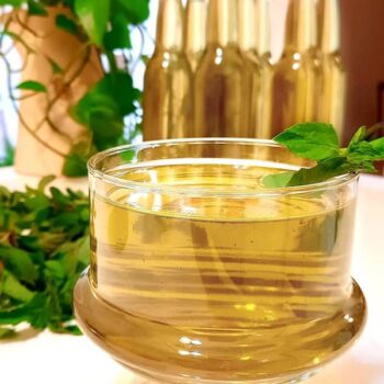 شربت سکنجبین وزن 1.350