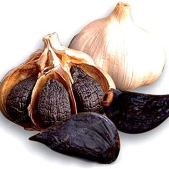 سیر سیاه قوطی  سیب سلامت  کد  66