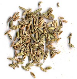 تخم زنیان