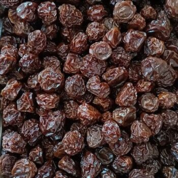 آلوچه سیاه
