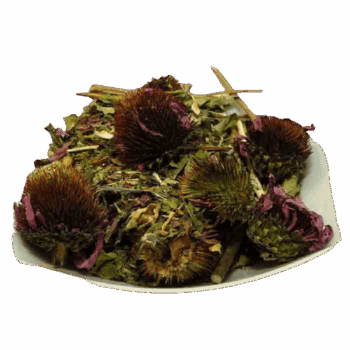 سرخارگل
