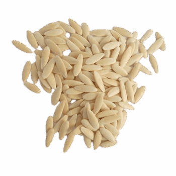 تخم خیار چمبر