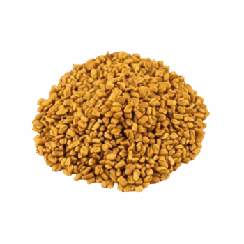 تخم شنبلیله