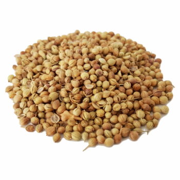 تخم گشنیز