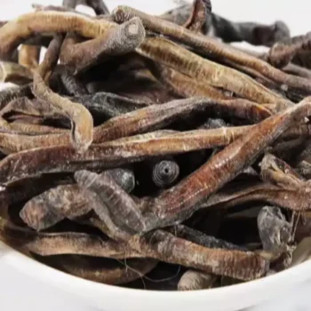 کرم‌ خاکی قرمز خشک