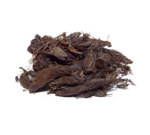سنبل الطیب بدون خاک