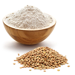 سویق عدس پوجو  کد  65