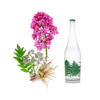 سنبل الطیب بهارنشان