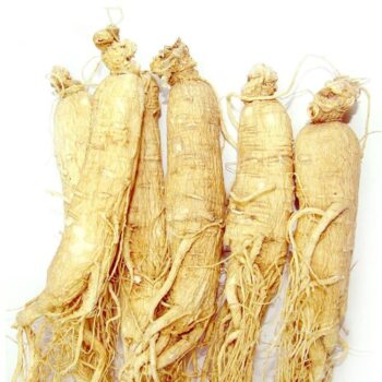 جینسینگ ریشه دار سفید اصلی