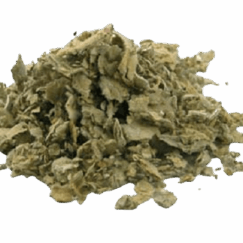 گل ماهور (گیاه خرگوشک)