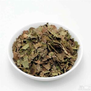 برگ گردو