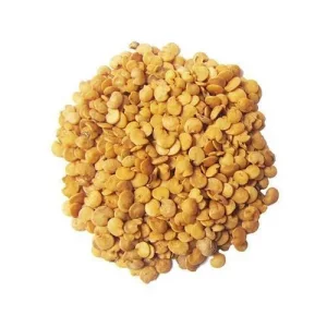 تخم بادمجان