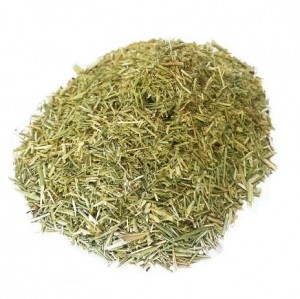 خارشتر