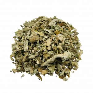 گیاه خرگوشک 1 گیاه خرگوشک