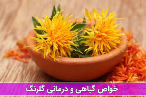 گلرنگ 2 خواص گلرنگ
