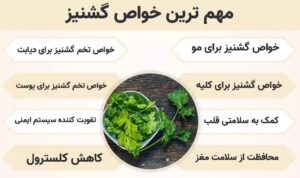 تخم گشنیز 3 خواص گشنیز
