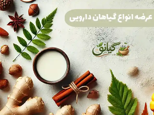 اسلاید 1