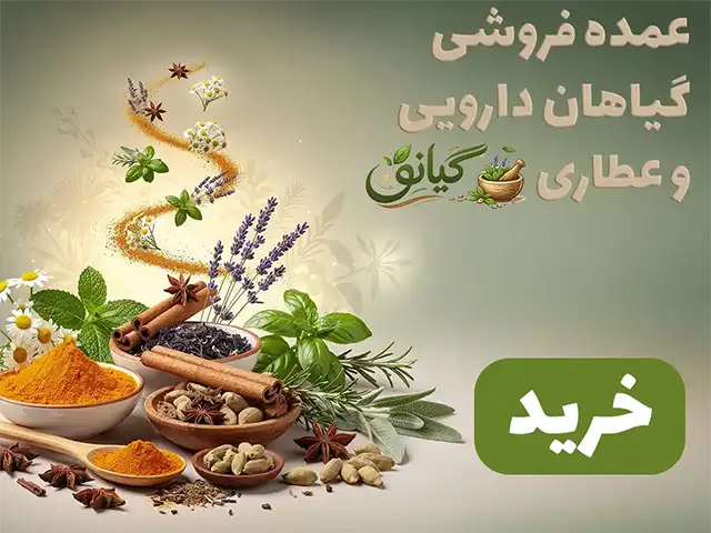 اسلایدر 3