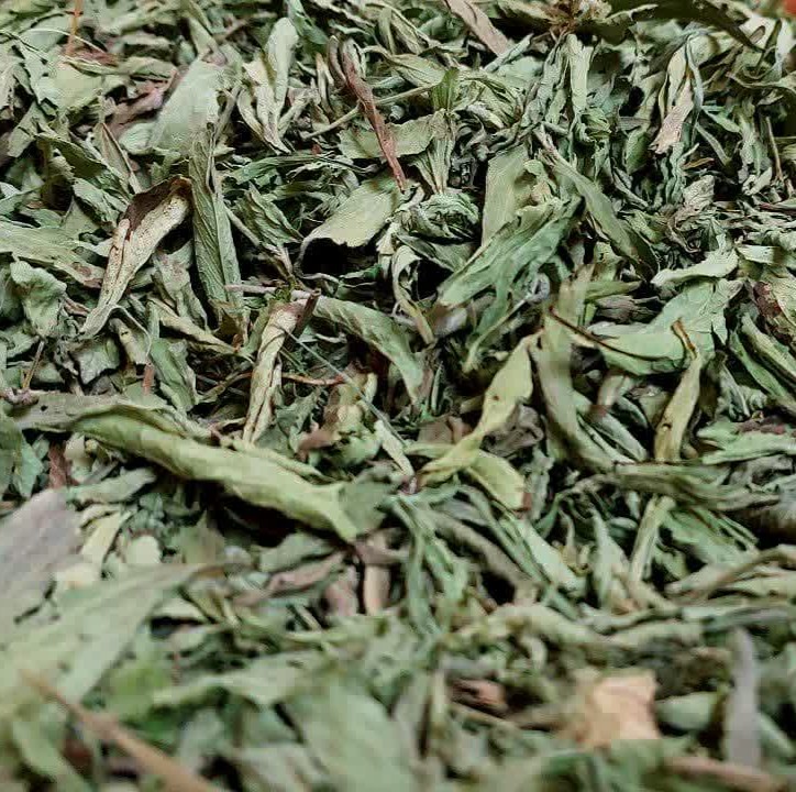 برگ استویا 2 برگ استویا