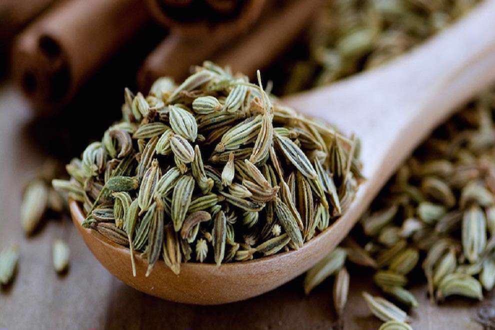 20 مورد از خواص و عوارض رازیانه 18 خواص رازیانه