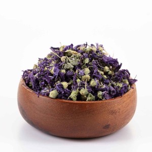 گل ختمی رنگی 1 گل ختمی رنگی