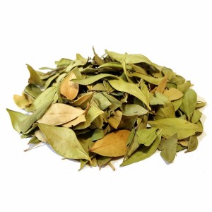 برگ مورد 1 برگ مورد