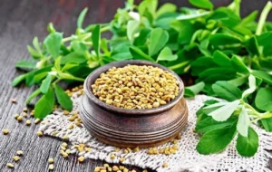 تخم شنبلیله 3 خواص تخم شنبلیله