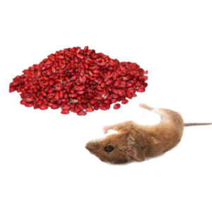 سم موش گندمی پمپی