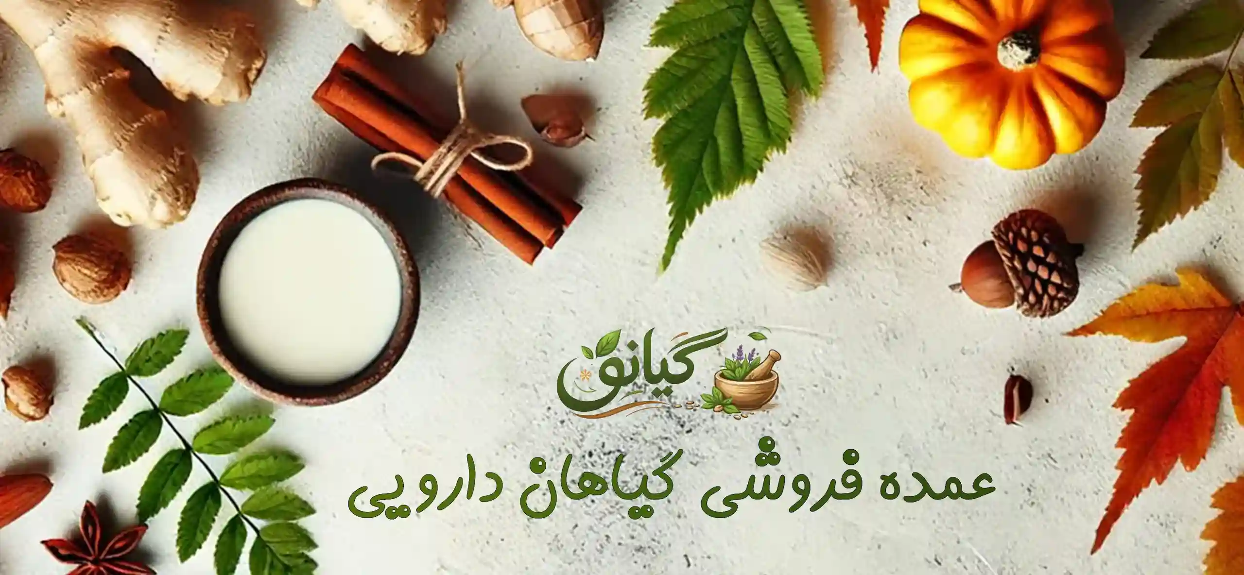 بنر 2