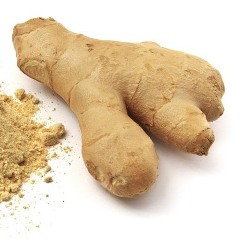انواع زنجبیل