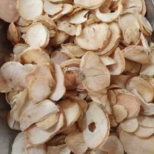 موسیر درشت پلاکی