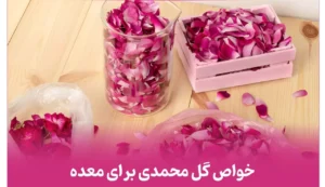 غنچه گل محمدی (سرخ) 3 خواص غنچه گل محمدی (سرخ)